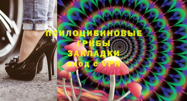 дживик Аркадак