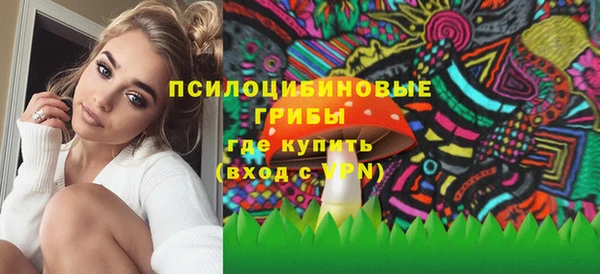 метадон Арсеньев