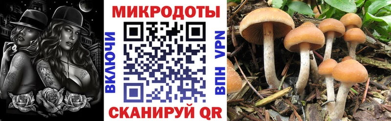 Псилоцибиновые грибы MAGIC MUSHROOMS  Тара 